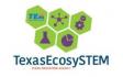 ɬ﷬ EcosySTEM Logo (Small Version)